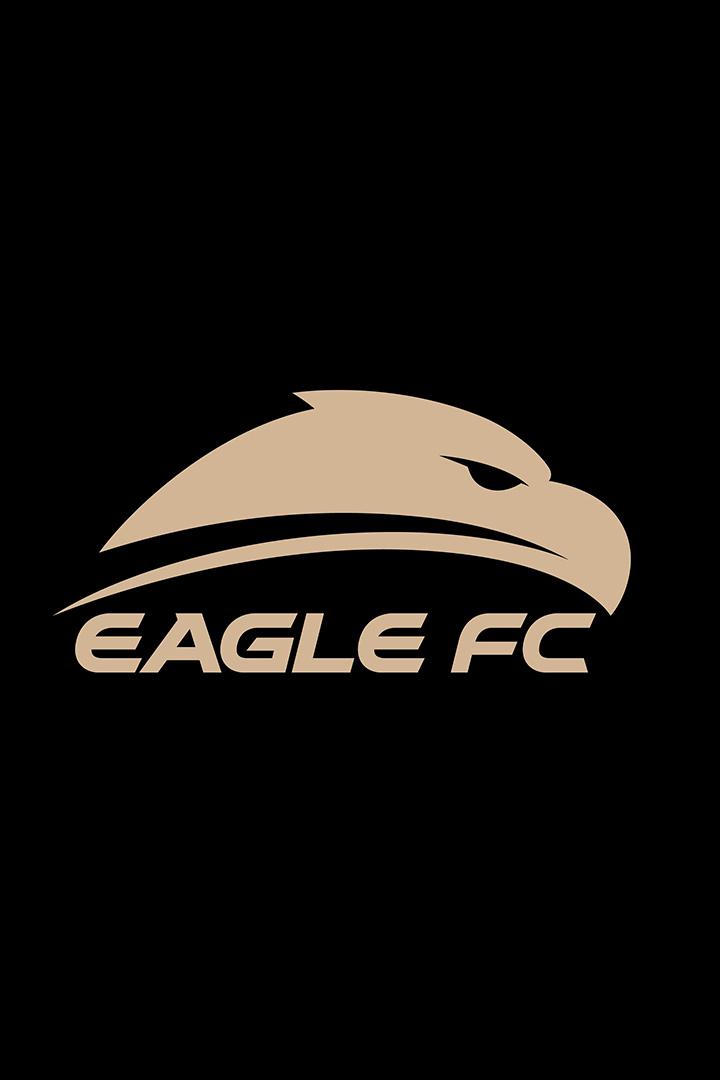 Смешанные единоборста. Eagle Selection 6