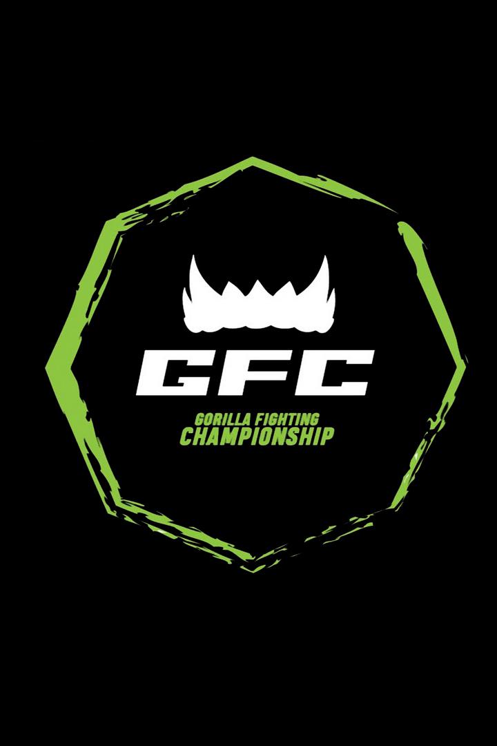 MMA Серия - GFC-3. В.Федин, Д.Михайлиди, О.Восканян, Б.Яхшиев