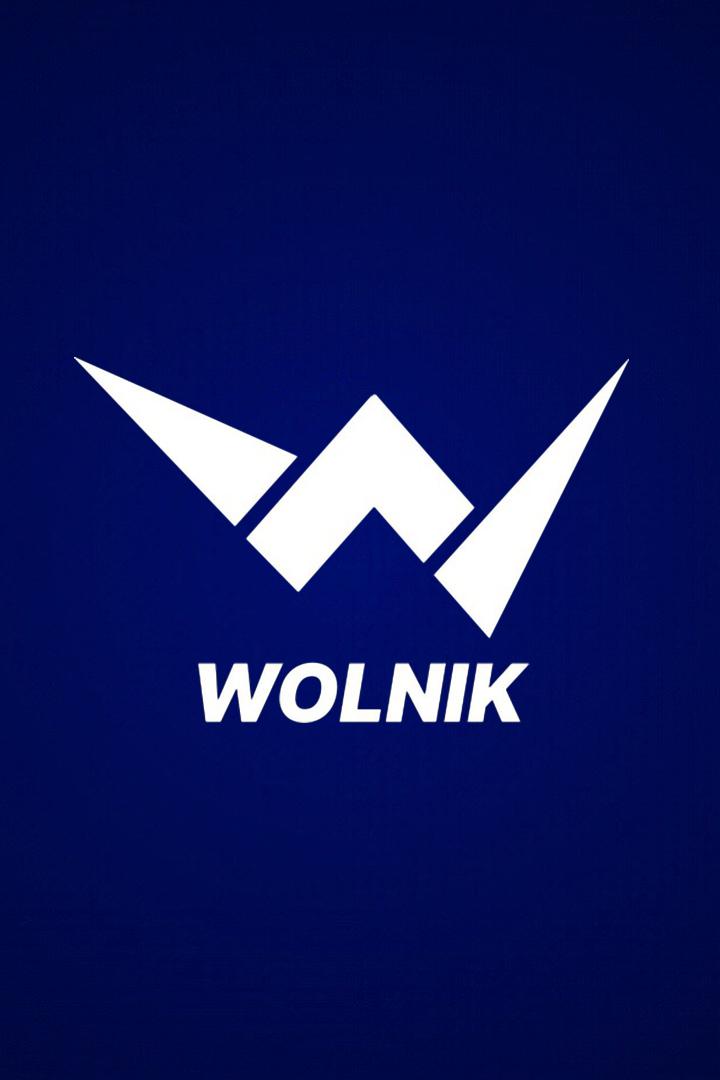 Борьба. Лига борьбы WOLNIK. Мурад Мачаев против Александра Сарнавского. Ким Схашок против Джеффа Монсона
