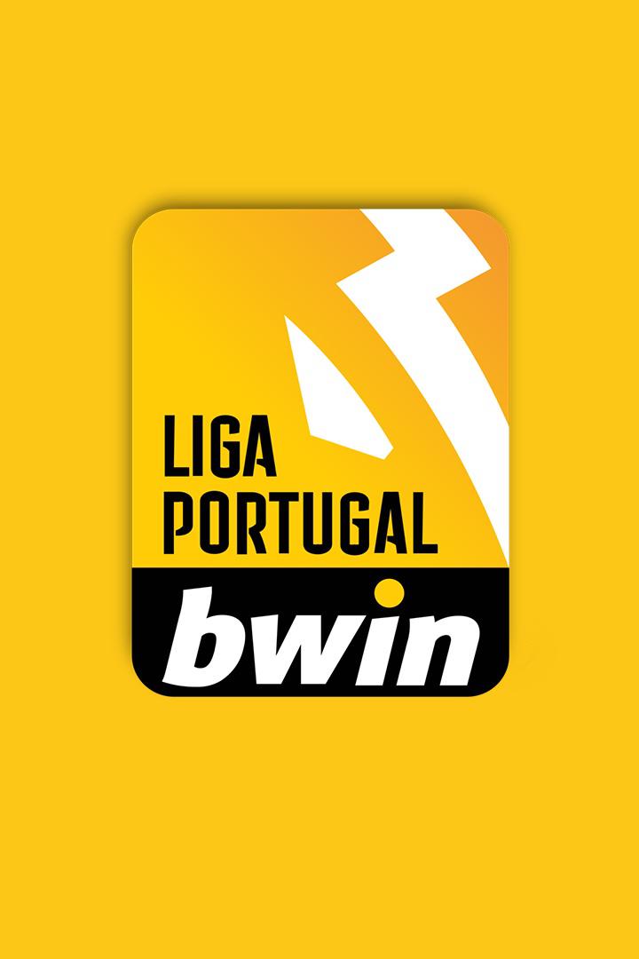 Футбол Чемпионат Португалии. Сегунда Лига. 21 тур. Пенафьел - Ковилья Football