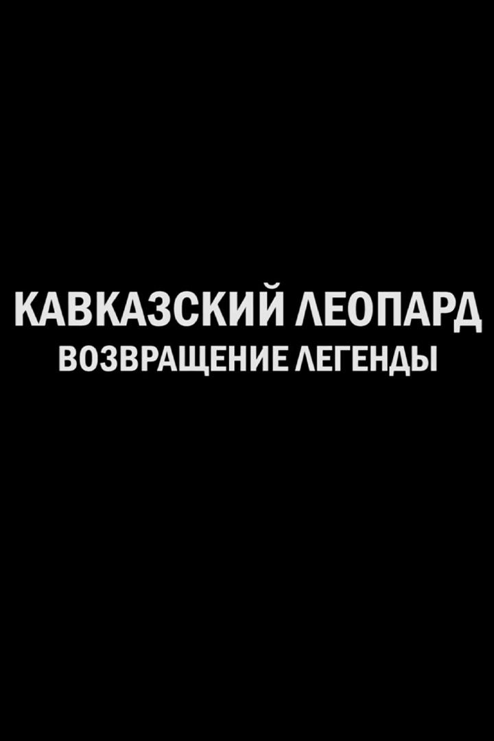 Кавказский леопард  - возвращение легенды