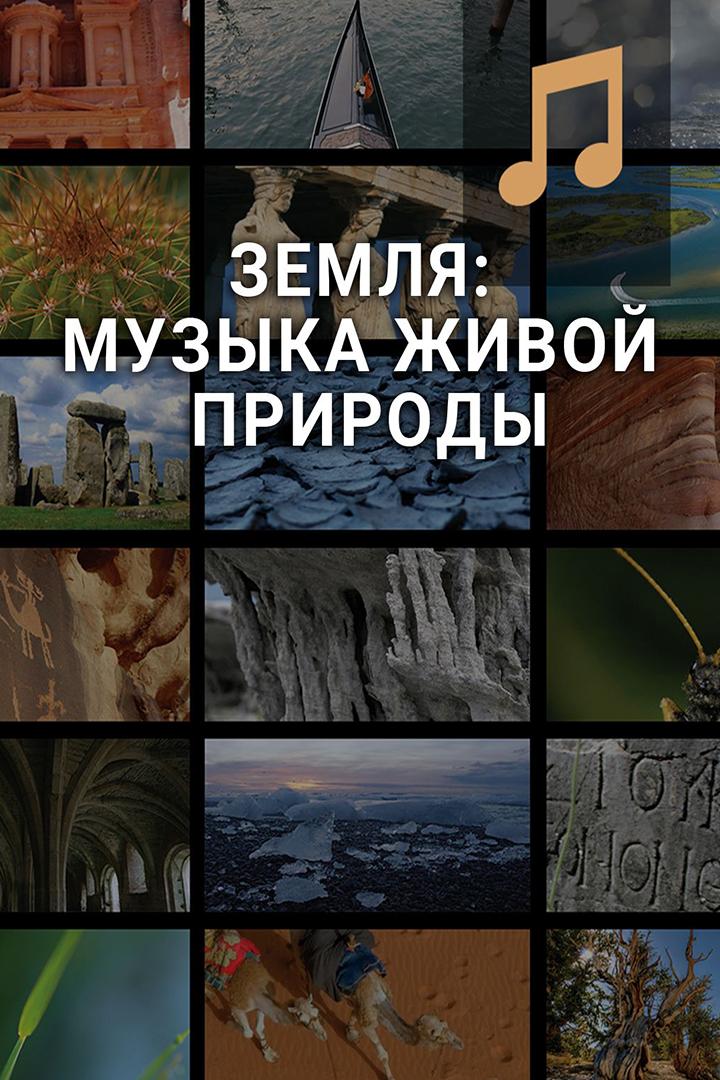 Земля: музыка живой природы