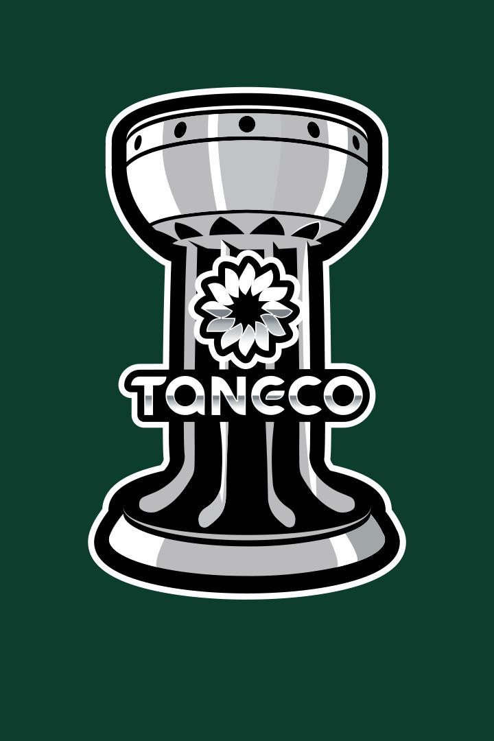 Кубок TANECO. Матч за 3-е место