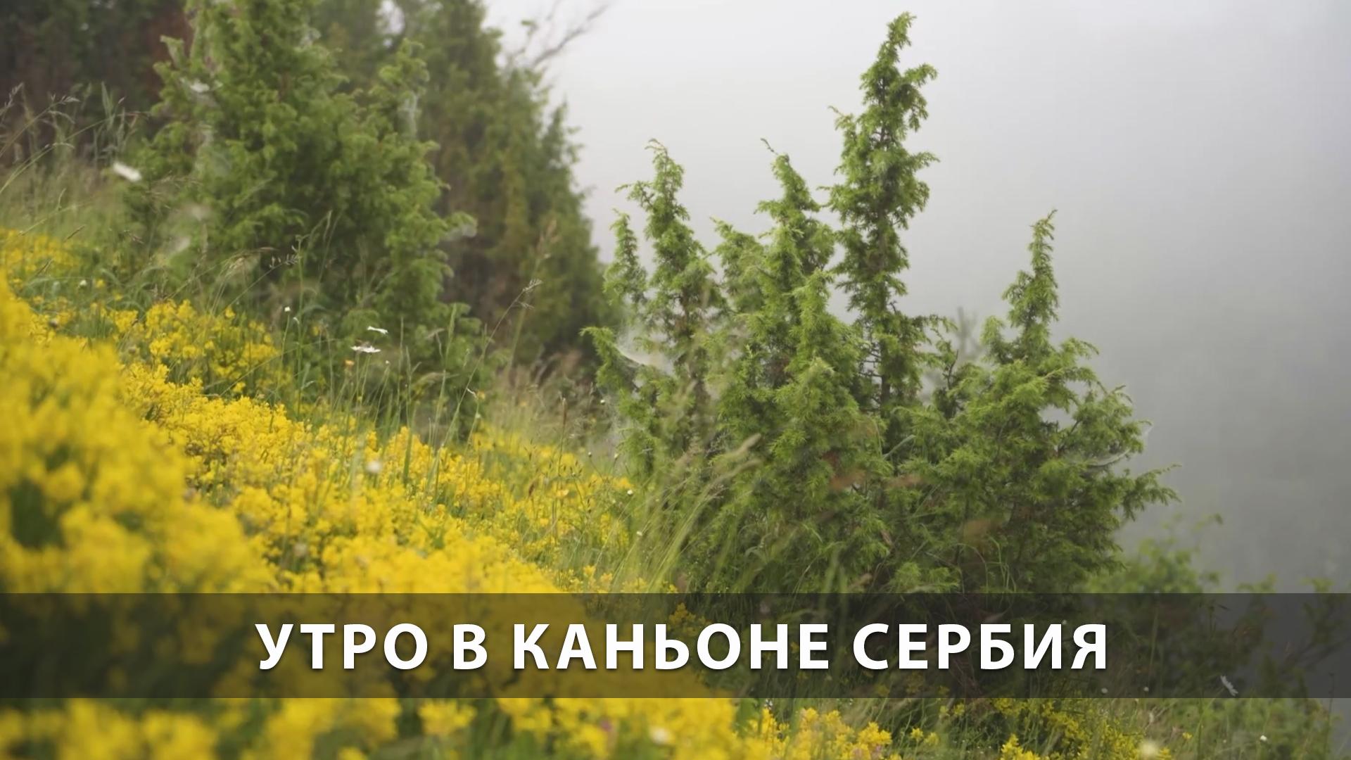 Утро в каньоне Сербия