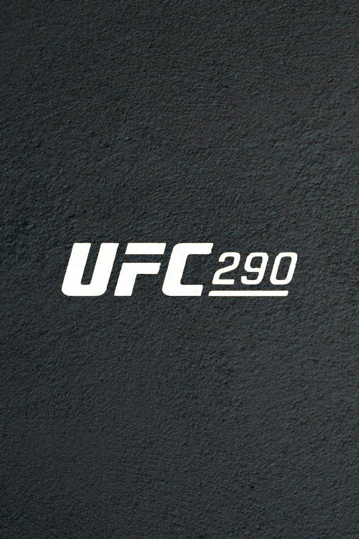 Александр Пантожа VS Брэндон Ройвал. Перед боем. UFC 290. Александр Пантожа против Брэндона Морено