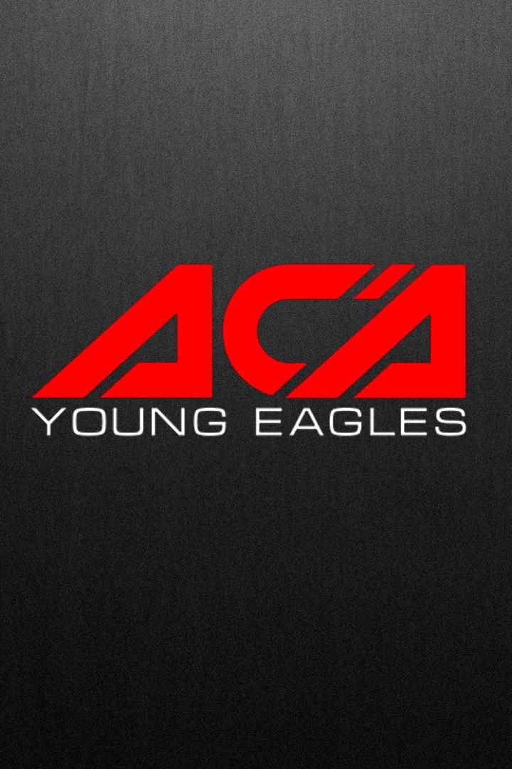Смешанные единоборства. АСА Young Eagles. Али Ражбудинов против Абдул-Малика Сайдулаева. Трансляция из Грозного