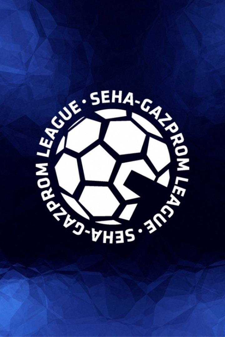 Гандбол. SEHA Лига. Четвертьфинал. ЦСКА Москва - Виктор Ставрополь