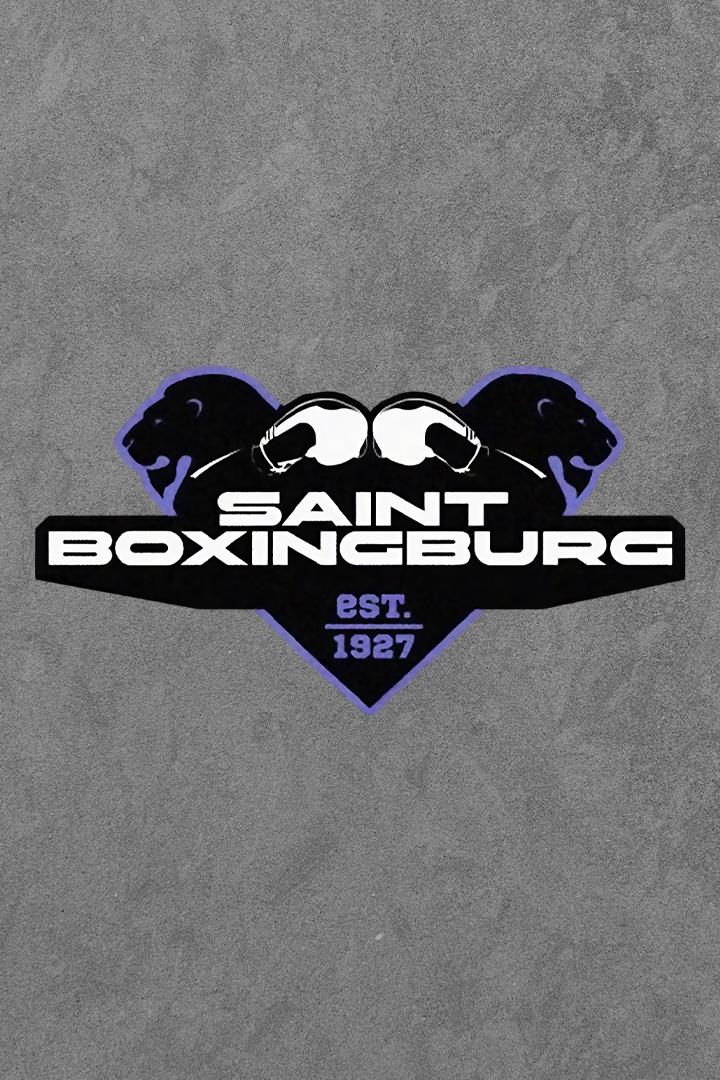 Профессиональный бокс. МЕЛБЕТ. Saint boxingburg. Алексей Мазур против Тиграна Узляна. Ленар Перес против Табисо Мчуну. Трансляция из Санкт-Петербурга