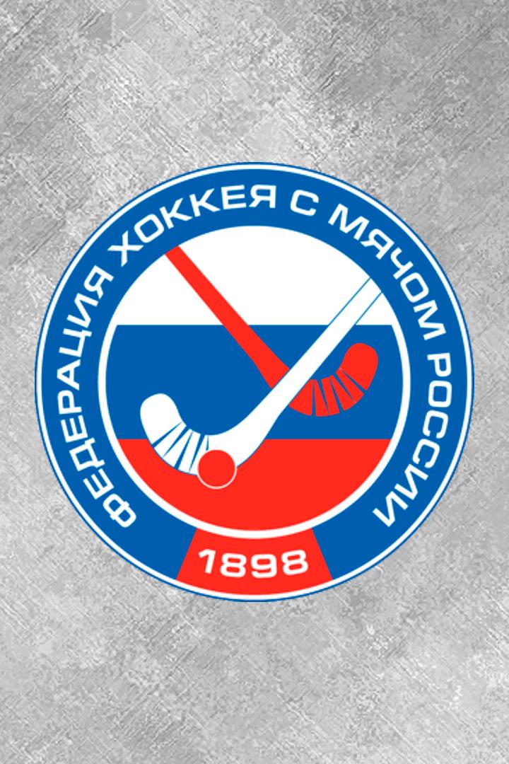 Хоккей с мячом. Кубок России. Полуфинал 2