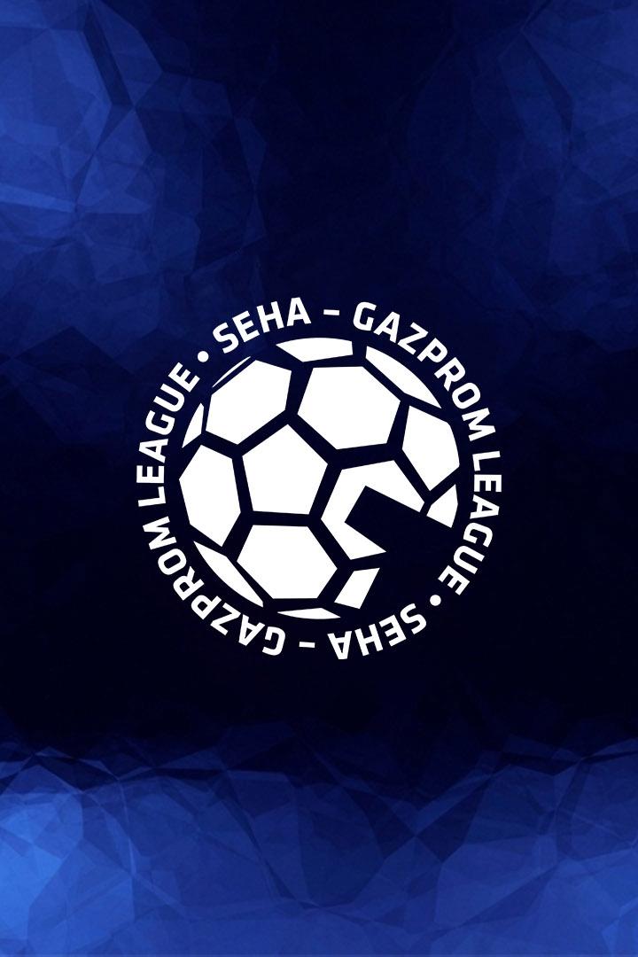 Гандбол. SEHA-Газпром Лига. "Зенит" (Россия) - "Виктор" (Россия)