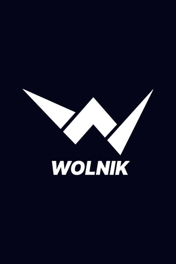 Борьба. Лига борьбы WOLNIK. Денис Тюлюлин против Омари Ахмедова. Юсуф Шуаев против Хасана Юсефи. Трансляция из Москвы