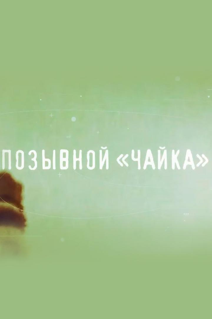 Позывной Чайка. В. Терешкова