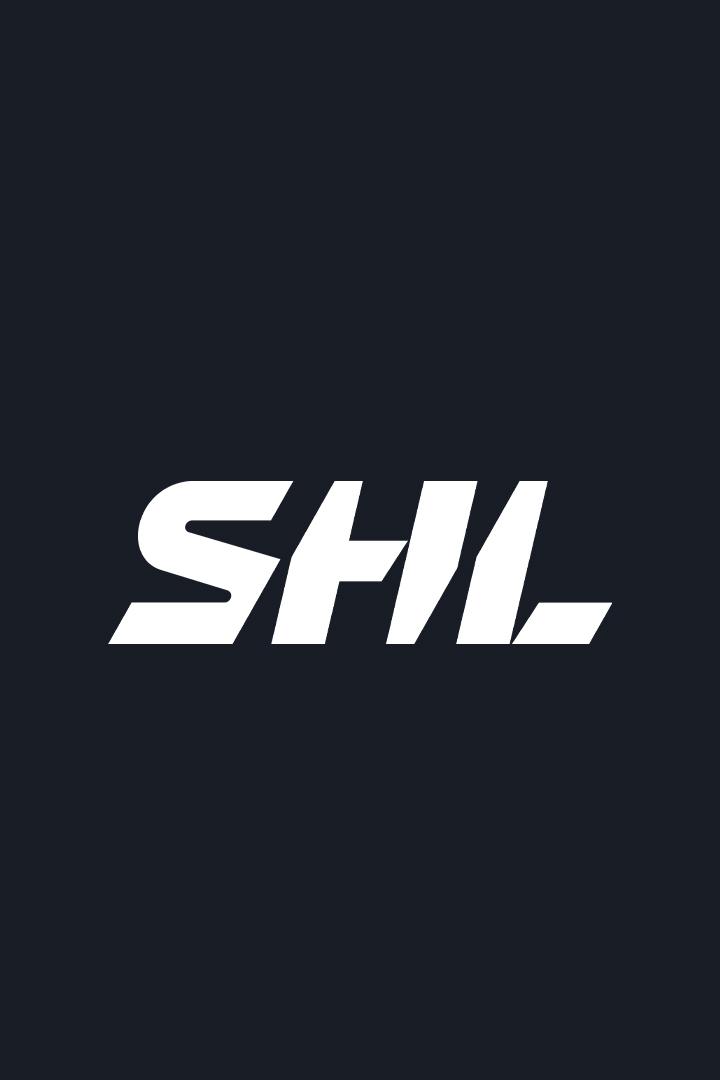 Хоккей Шведская Хоккейная Лига SHL. Плей-офф 2024/25. Полуфинал. Лулео - Фрёлунда (Гётеборг). Матч 2