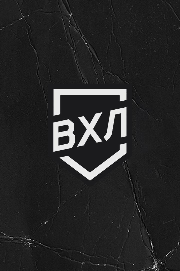 Хоккей. ВХЛ. Магнитка (Магнитогорск) - Динамо Спб